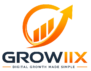 Growiix Digital Marketing Agency Bathinda